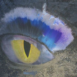 L'oeil